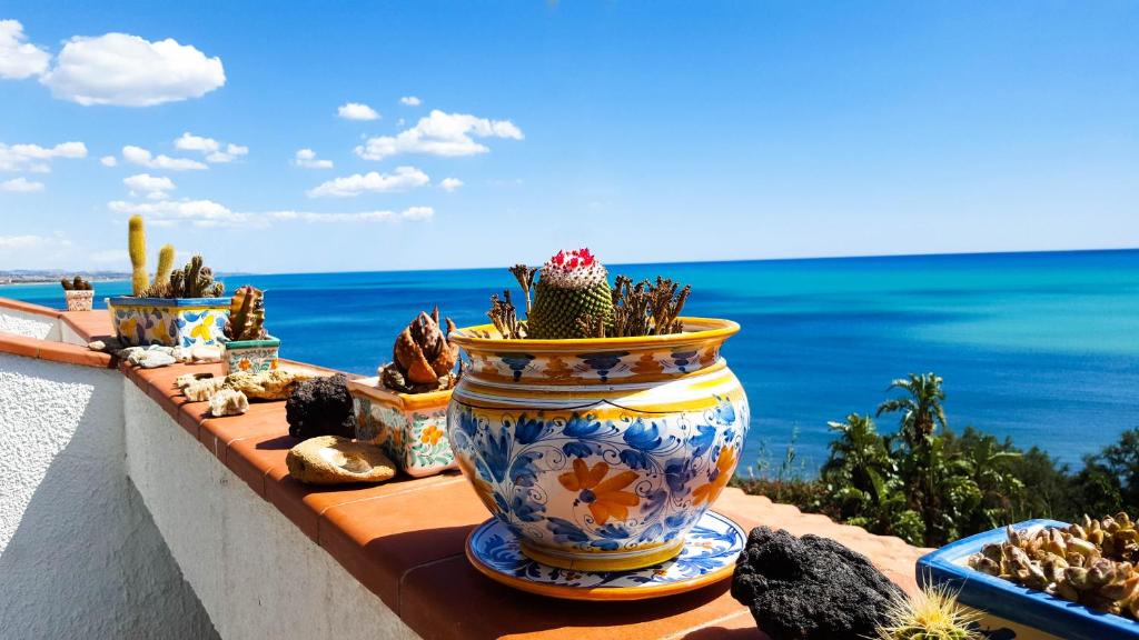 un vaso pieno di cactus su un muro con l'oceano di Lumia Case Vacanze a Sciacca