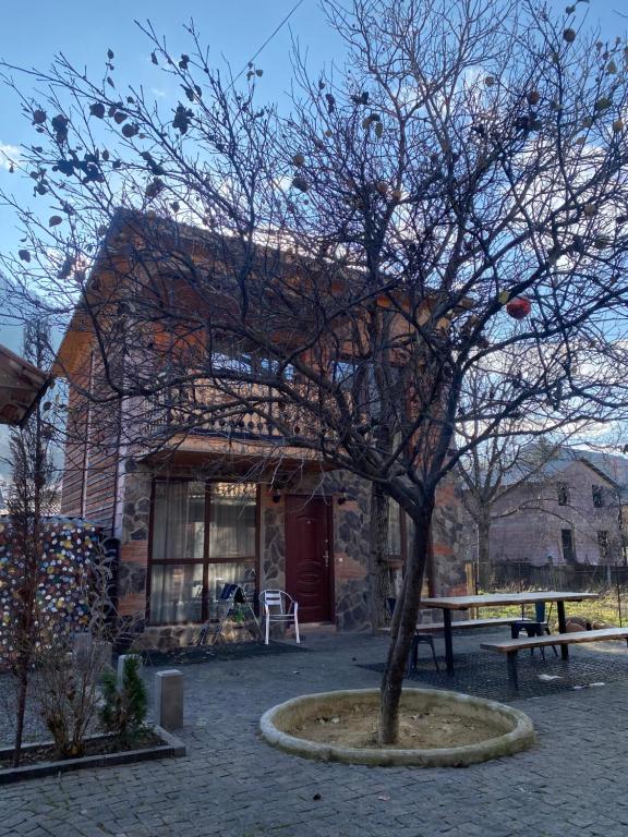 a tree in front of a building with a bench at Levani's Cottage in Borjomi