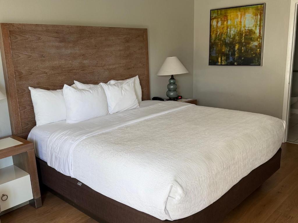 Quality Inn & Suites By the Parks - 