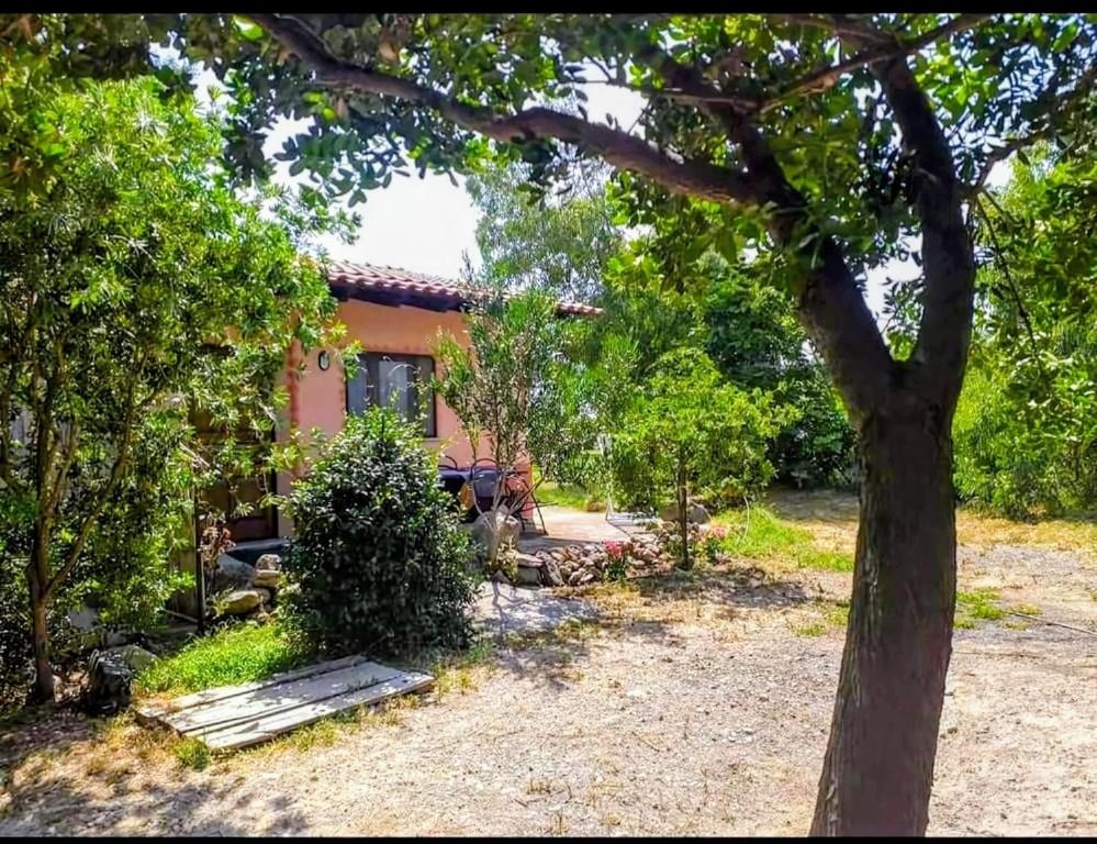 Jardí fora de Sa Stella E Monti