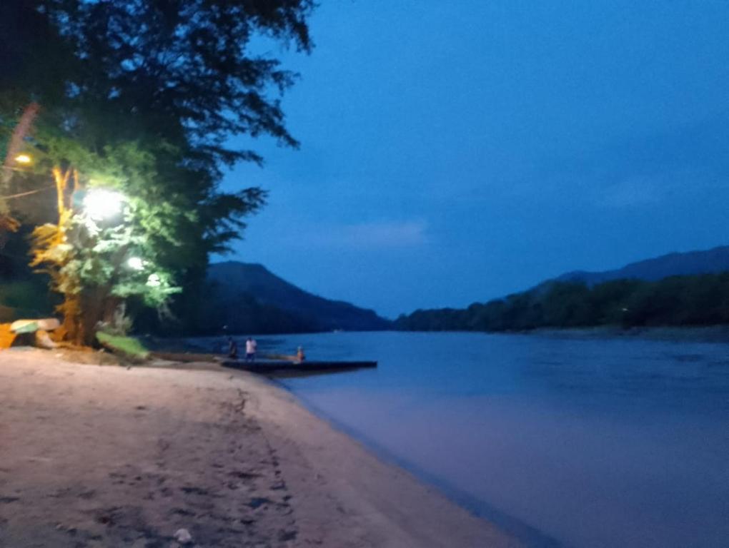 a tree on the shore of a lake at night at Brisas de la Bujona in Honda
