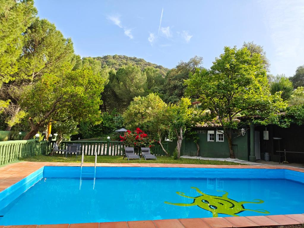 a blue swimming pool with a cartoon character painted on it at Finca rural Labriega del hueznar in Cazalla de la Sierra