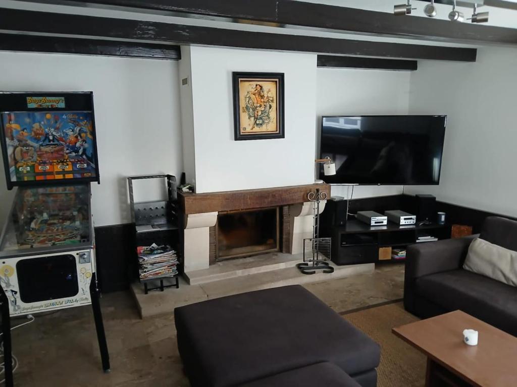 a living room with a tv and a fireplace at La grande escapade in Xertigny