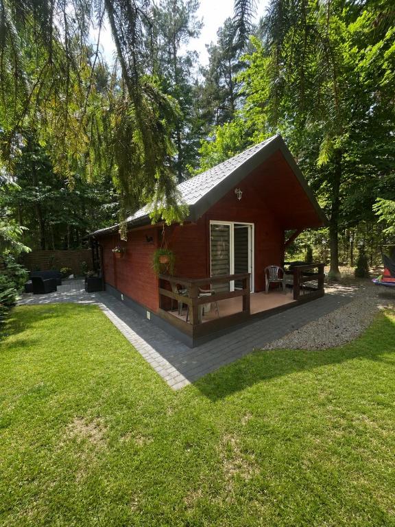 a small red cabin in the middle of a yard at DOMEK POD SOSNAMI in Krasnobród