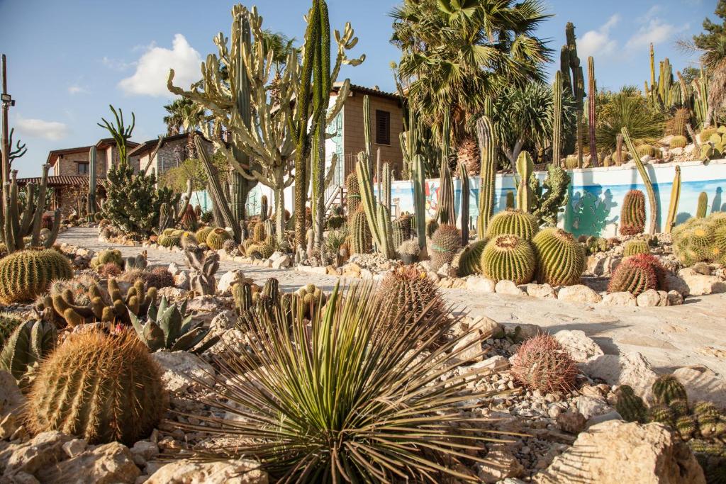 Vonkajšia záhrada v ubytovaní Garden Cactus