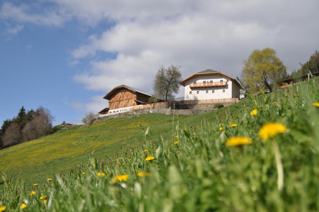 ein Haus auf einem Hügel mit einem Blumenfeld in der Unterkunft Platzbon in Brixen