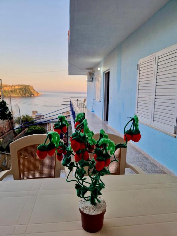 a potted plant sitting on a table with a view of the ocean at Himara Holiday House in Himare