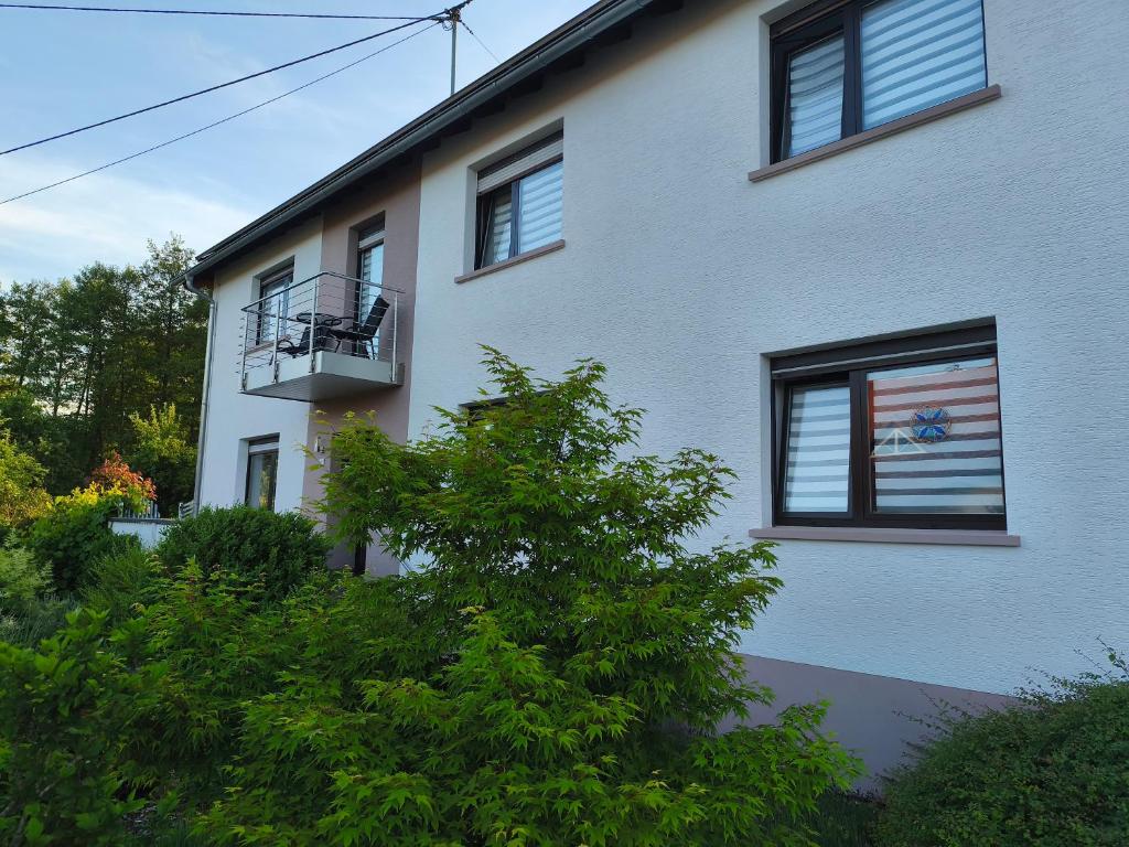 a building with a flag painted on the side of it at Ferienwohnung Marie in Nohfelden