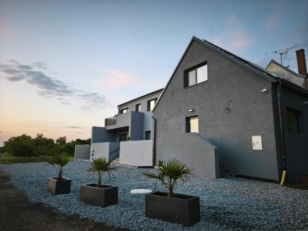 a house with three potted plants in front of it at Apartmány Michelle in Dolní Dunajovice