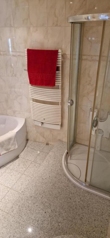 a bathroom with a shower and a toilet and a sink at Ferienwohnung Kannemann in Herzberg am Harz