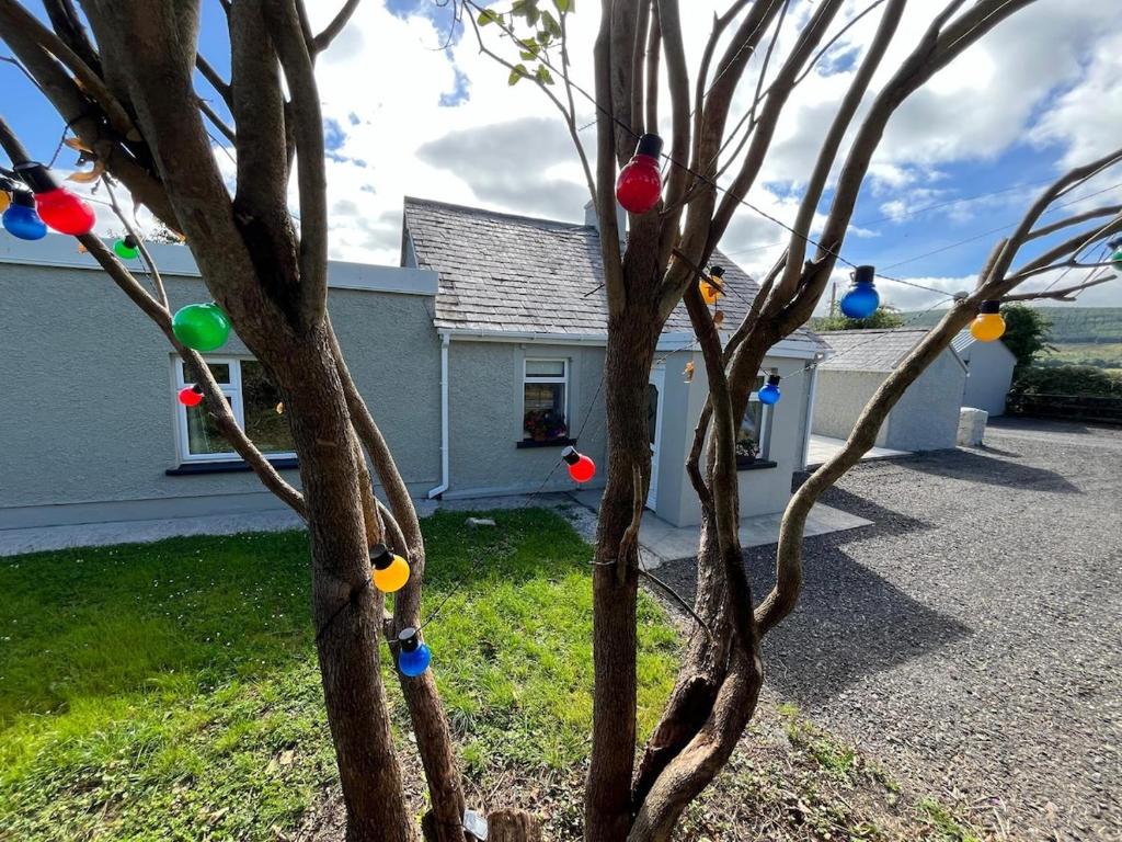 a house with a tree with colorful balls on it at Pegs Cottage in Clonmel