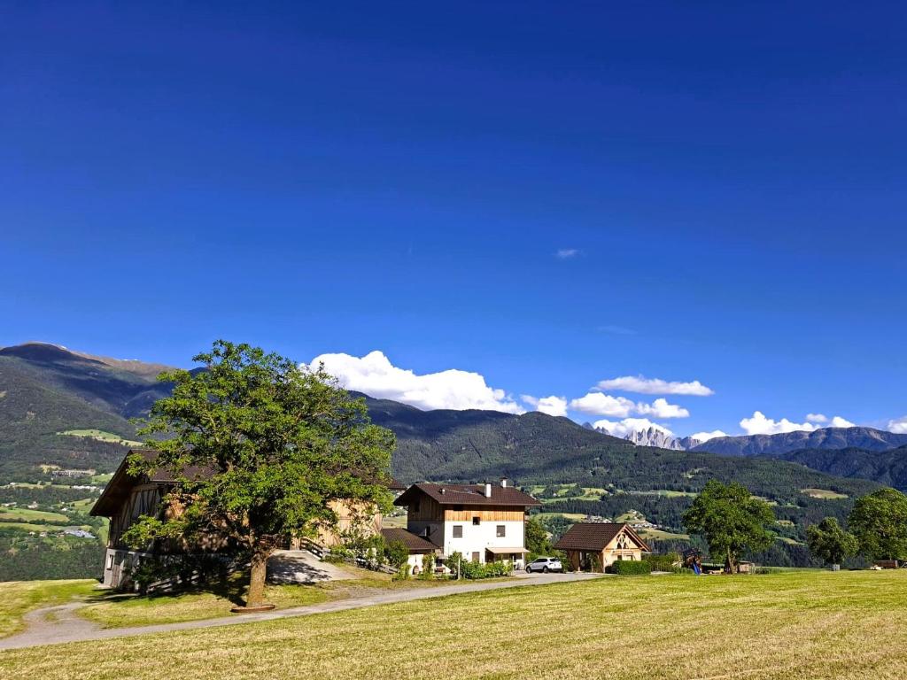 a house on a hill with a tree in a field at Praterhof Chalet in Südtirol - Natur, Ruhe & Bergblick in Bressanone
