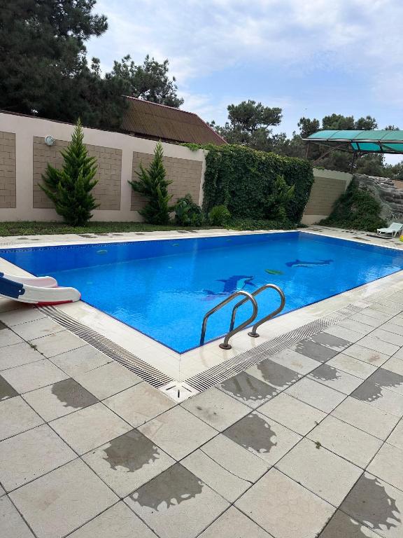 a swimming pool with a painting of a horse on it at Bilgah Garden Villa in Bilgah