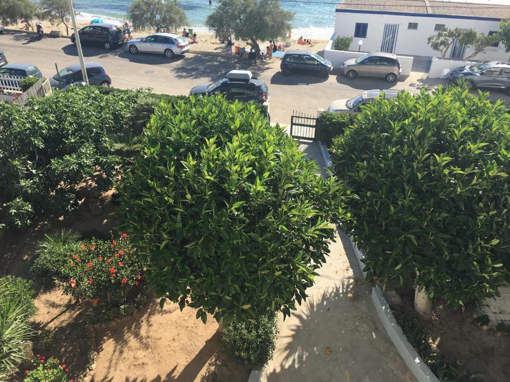 un gruppo di cespugli in un parcheggio vicino alla spiaggia di Appartamenti Antonaci a Gallipoli