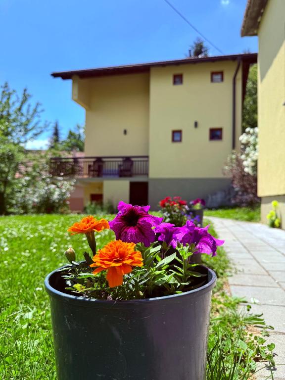 a pot of flowers in the grass in front of a house at Edi in Sarajevo