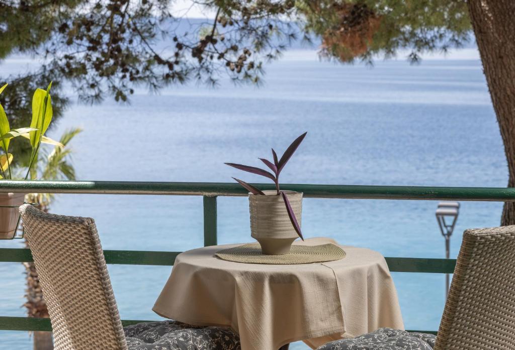 a table with a plant in a vase on it at PINE&SHINE Waterfront in Podgora