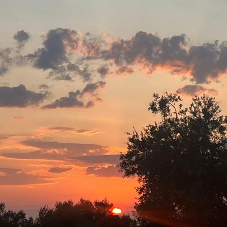 a sunset with a tree in the foreground at Camping Shpella e Pirateve in Lukovë
