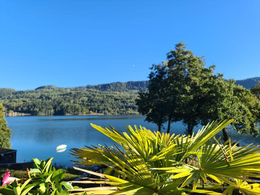 a view of a lake with trees in the background at Lakesideview Keutschach am See in Keutschach am See