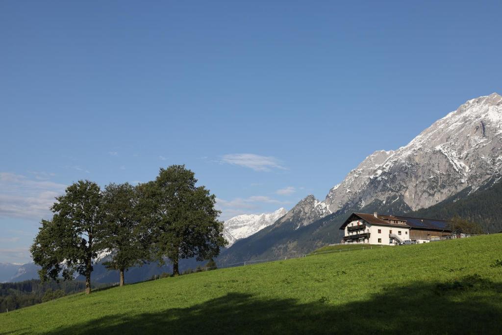 a house on a hill with a tree and mountains at Erholung am Lehmooserhof in Gnadenwald