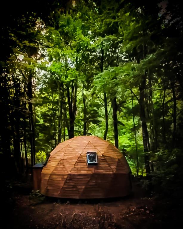 a wooden hut in the middle of a forest at Lodge Domos Awen in Pucón