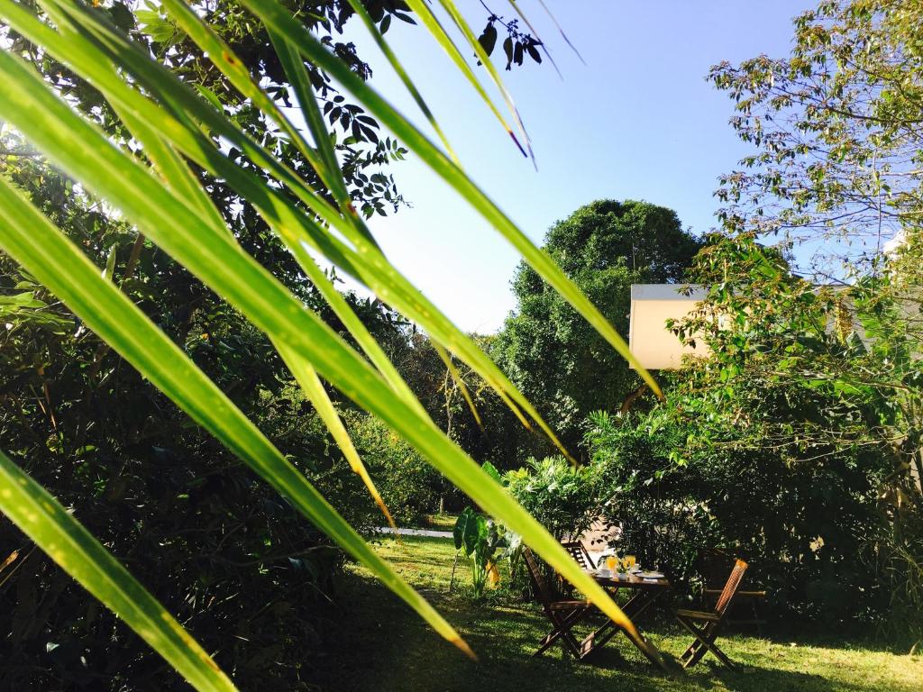 Zahrada ubytování Hotel Casa Maya Calakmul