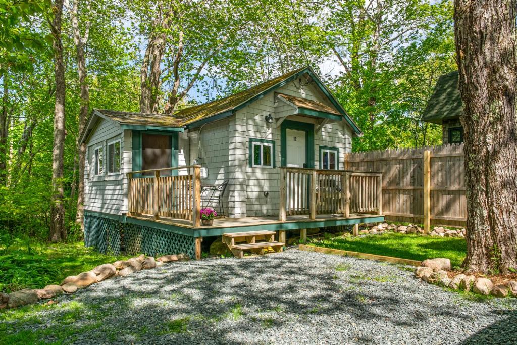 a tiny house in the woods with a deck at Davis Outpost Pet-Friendly Quiet Cabin w AC Screened Sunroom Walk to Trails in Otter Creek