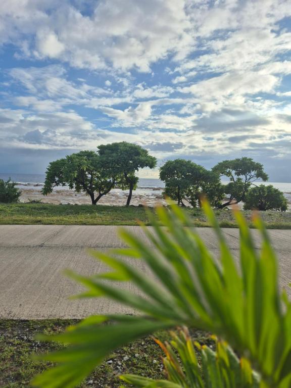 Vaimoe Lodge à Tiputa, Tiputa - photo 8 - Rangiroa, Polynésie