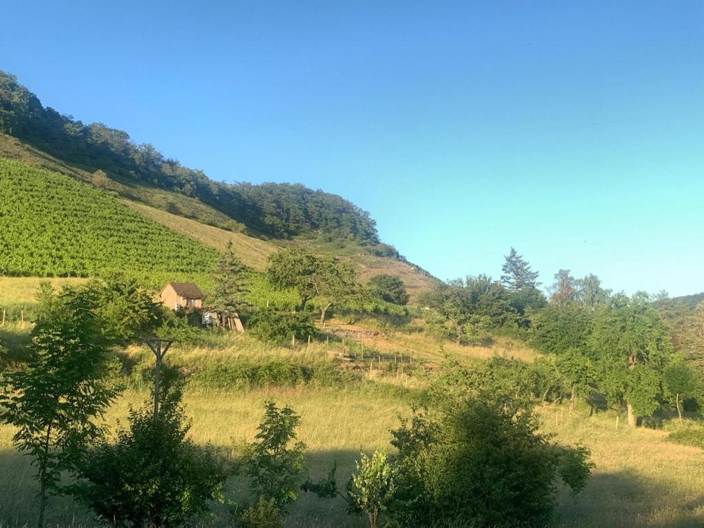 a grassy hill with a house on top of it at FEWO in Spielberg in Sachsenheim