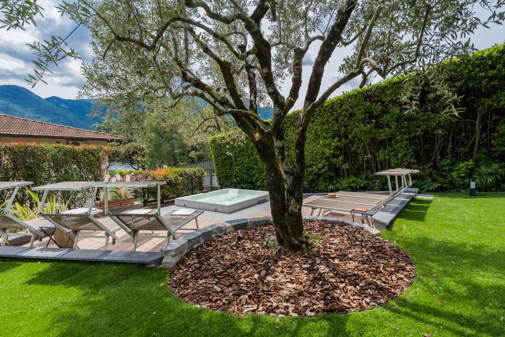 ein Baum mitten in einem Garten mit Bänken in der Unterkunft Villa Ida by Rent All Como in Como