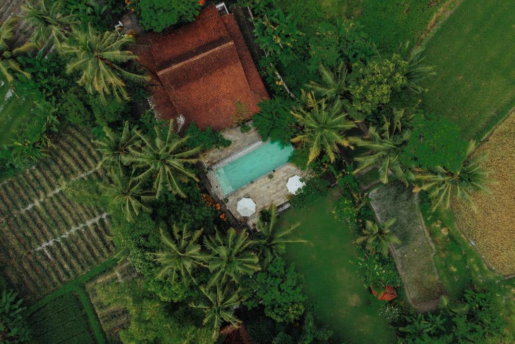 an overhead view of a swimming pool with palm trees at Sikepan Villa Borobudur in Mendut