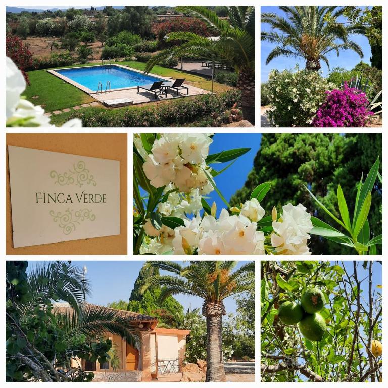 a collage of photos with a pool and flowers at Finca Verde in Llucmajor