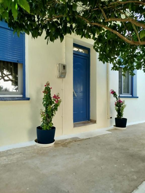 a blue door on a building with two potted plants at Δωμάτια Σοφία in Agios Kirykos