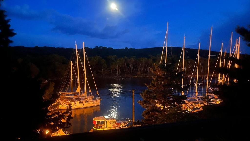 a group of boats docked on a lake at night at Molat Bay View in Molat