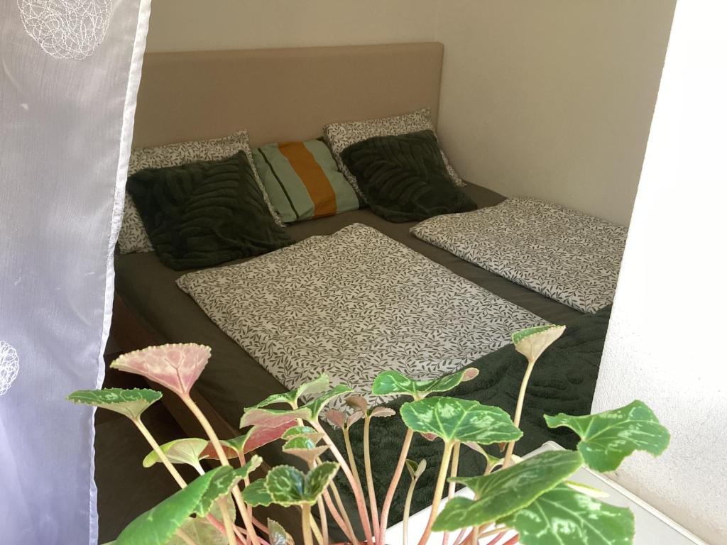 two beds in a room with plants at Všemina apartmán s terasou in Všemina