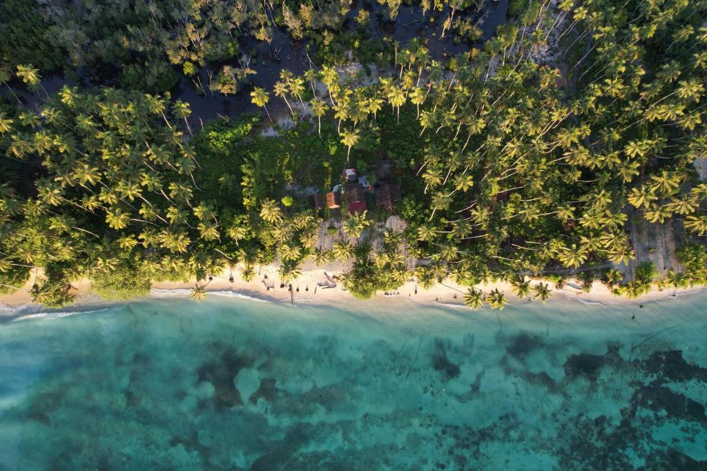 an aerial view of an island with trees and water at Mentawai Tribe Experience & Private Beach Camp in Pulau Masilo