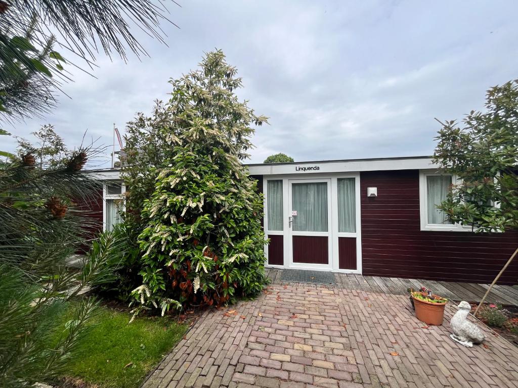 a house with a large tree in front of it at Houseboat Linquenda in Woubrugge