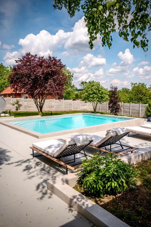a swimming pool with two lounge chairs in front of it at YAMM Pool House in Mali Požarevac