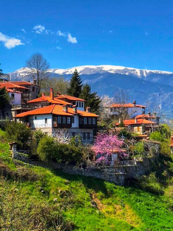 a village on a hill with mountains in the background at Feggaropetra Inn Magic Mountain House in Palaios Panteleimonas