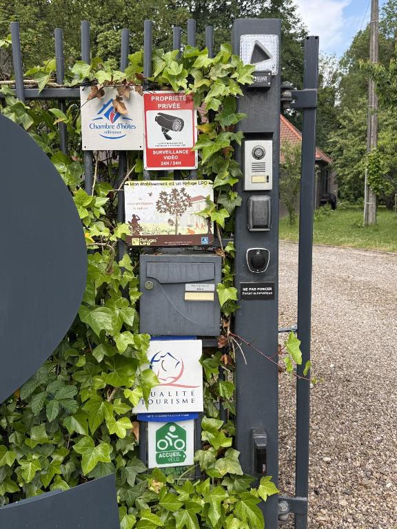 a gas pump covered in ivy with signs on it at Le Domaine de Wail Legends Resort in Wail