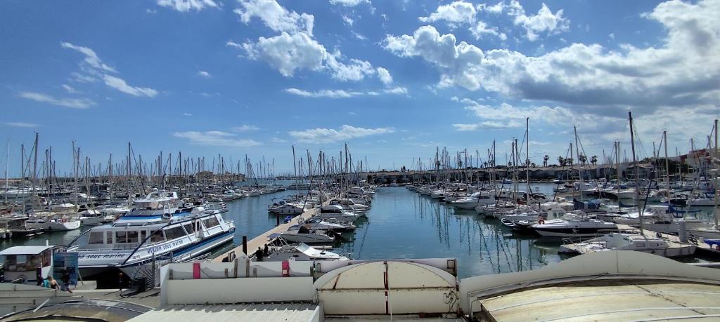 la terrasse des mats