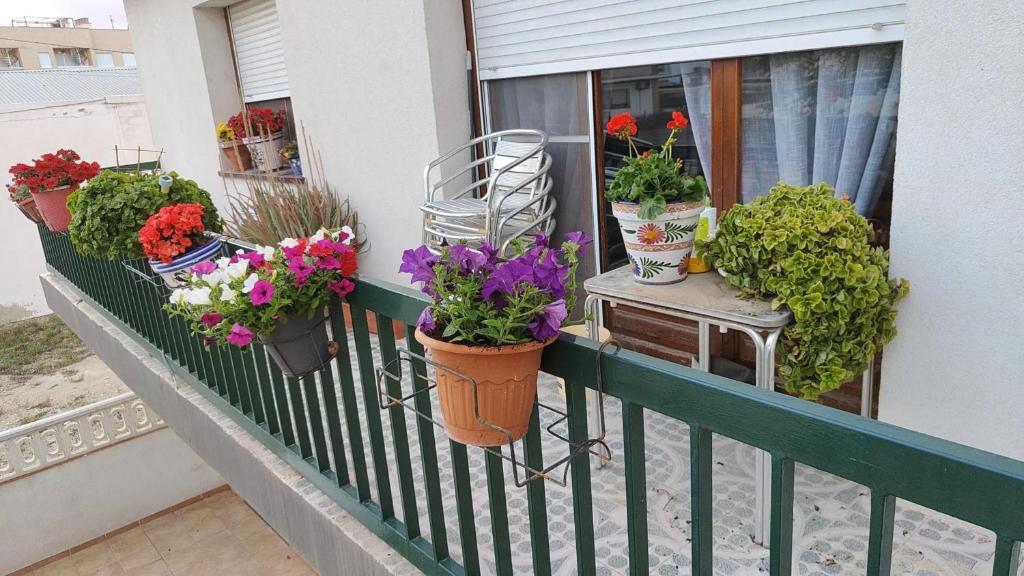 Spacious House in Deltebre with Terrace