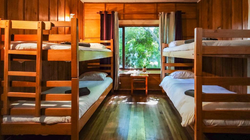 zwei Etagenbetten in einem Zimmer mit Fenster in der Unterkunft Espacio Ecole in Pucón