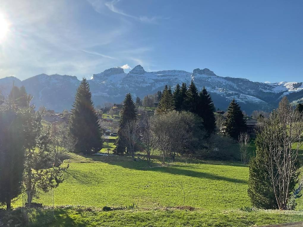 a green field with mountains in the background at Le vieux chalet in La Forclaz