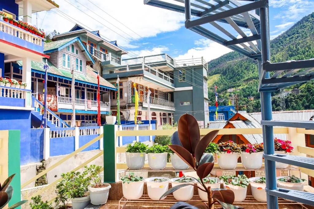 a view from the balcony of a building with potted plants at Daisy Homestay Dirang in Dirang Dzong