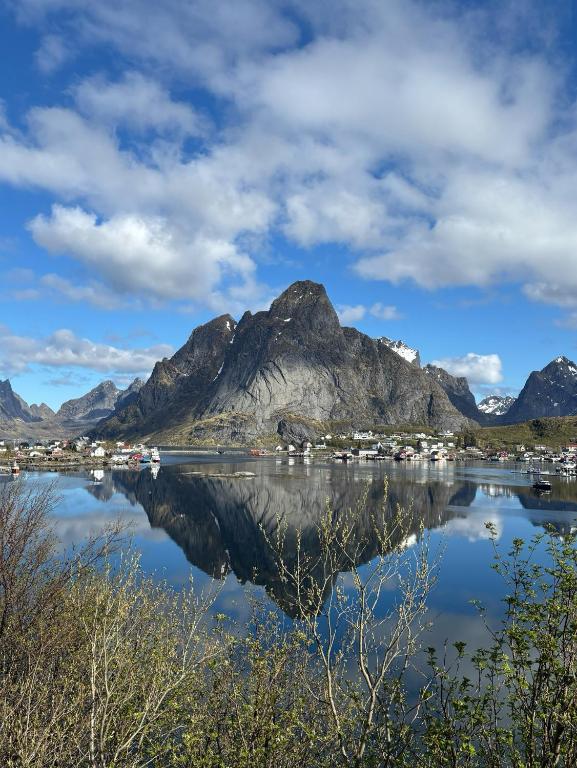 a reflection of a mountain in a body of water at Lofoten Bed & Breakfast Reine - Rooms & Apartments in Reine