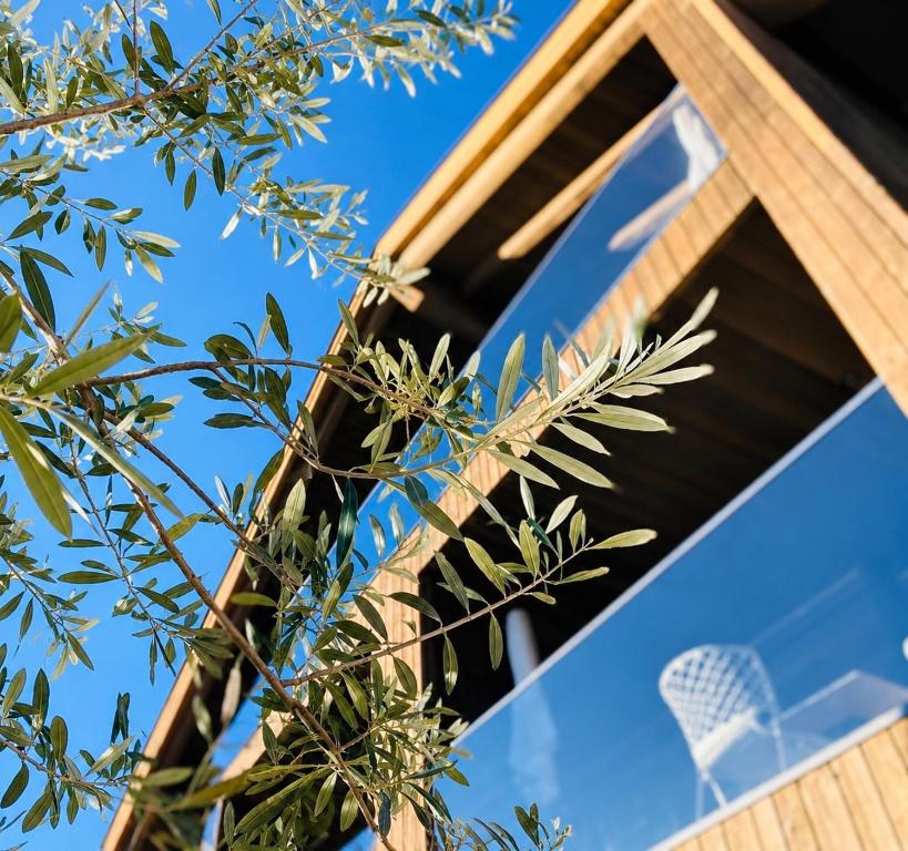 a view of the window of a tree at Residence Pranterhof in Marlengo