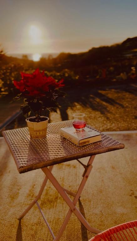 a table with a book and a vase with red flowers at Fintra Bay Hideaway in Killybegs