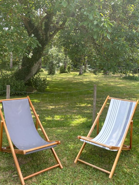 two chairs sitting on the grass in a yard at Aux Portes de La Roussille in Niort