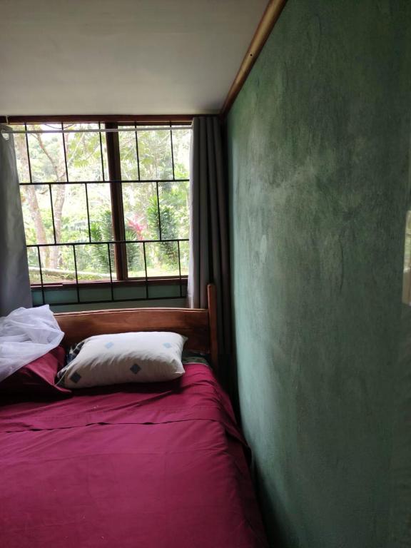 ein Bett in einem Zimmer mit Fenster in der Unterkunft Apto 5 in Cartago