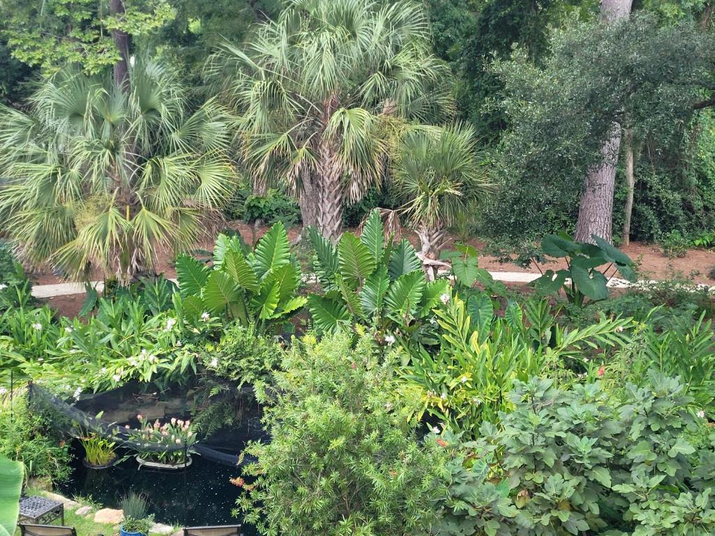 a garden with tropical plants and palm trees at The Cottage at DuPont in Charleston